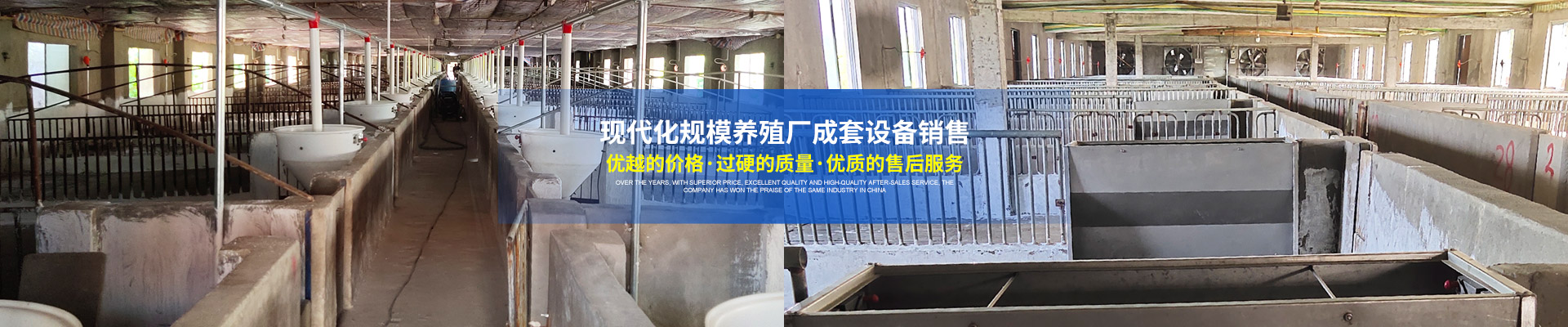 武陵區遠征農牧養殖設備經營部-自動喂料系統-母豬分娩設備